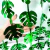 Cortina hojitas Monstera - comprar online