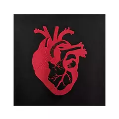 Buzo Heart - tienda online