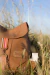 Mochila Piccola DDL en internet