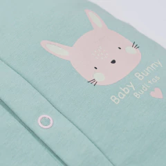 Enterito Bunny en internet