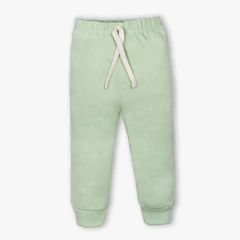Jogger Baby Dino