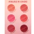SHEGLAM - Cheeky Color Jam - Carnation Dreams en internet