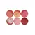 Juvia's Place - The Blushed Rose Palette en internet