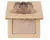 Juvia's Place - Tribe Highlighter (Vol 3) - comprar online