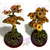 bonsai da fortuna, esoterico decoração, loja esotérica, enfeites misticos, produtos esotericos, artigos esotericos, esotericos 25 de março, decoração zen, arvore bonsai, arvore bonsai feng shui, bonsai artificial, paisagem bonsai, escultura bonsai, bonsai