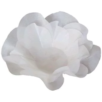 Forminha Elite 101 cx. 24 unid (R$ 0,66)