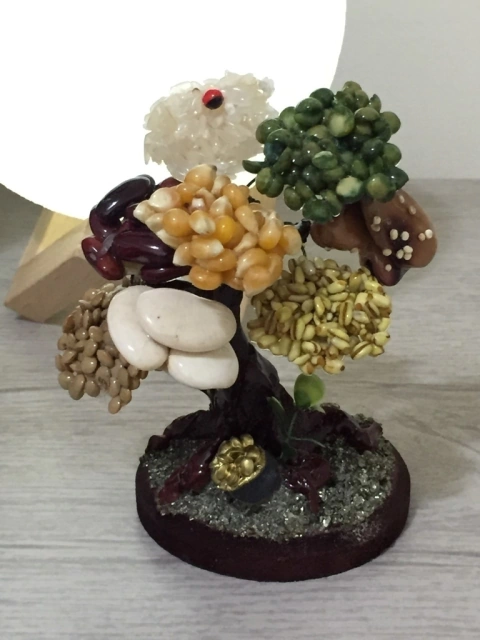 Bonsai – Árvore da Abundancia (Fartura)