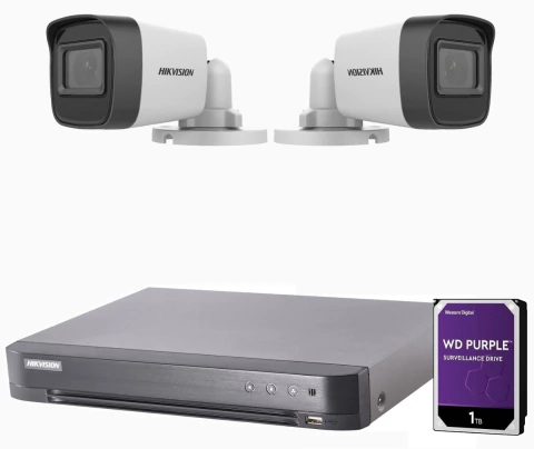 Kit de 2 Cámaras de Seguridad Hikvision Full HD con Disco Rígido de 1tb - comprar online