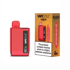 POD DESCARTABLE VAPESOUL 10000 PUFFS en internet
