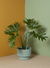 MACETA RHODA 2 CON PLATO - comprar online