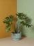 MACETA RHODA 2 CON PLATO - comprar online