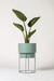 SET RHODA 2 BAJO - comprar online