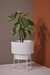 SET RHODA 3 - tienda online