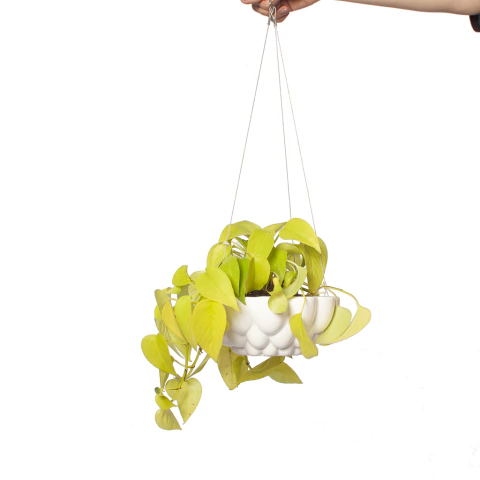 MACETA BALLOON VOLADORA - comprar online