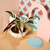 MACETA BALLOON - comprar online