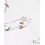 Pack 5 Bodys Manga Cortas Perritos - tienda online