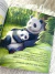 Bebé Panda y el bosque de bambú - Casa Mariano Bebes