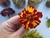 TALLER DE ECO PRINT CON FLORES / FRUTOS