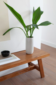 Banco Ponto Madera - comprar online