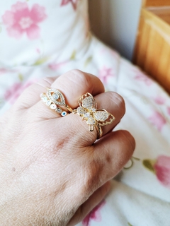 Anillo NMO en internet