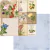 Papel bifaz Botanical Journal Packets 30,5 x 30,5cm BoBunny