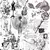 Set 50 Ephemeras Transparentes PET Love Letter - tienda online