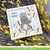 Set de Troqueles de Borde de Mariposas Butterfly Border Lawn Fawn - tienda online
