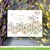 Set de Troqueles de Borde de Mariposas Butterfly Border Lawn Fawn en internet