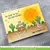 Troqueles Embroidery Hoop Window and Frame Add-On Lawn Fawn - Oh My Company