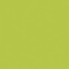 Lapiz Premier color Limepeel PC 1005 Prismacolor