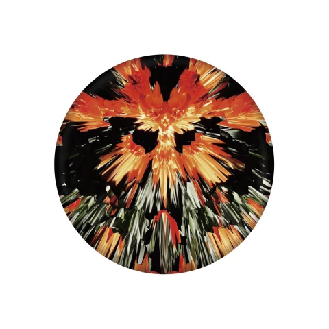 Frisbee de Silicona Wingman Pro 21 cm Llamas - comprar online