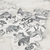 Mapa Animales En Peligro De Extinción 85x65 cm