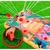 Operando Splash en internet