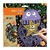 Mini Libro Scratch 8 Hojas - comprar online