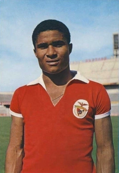 Camisa Retrô Benfica 1962 + Brinde Exclusivo - comprar online