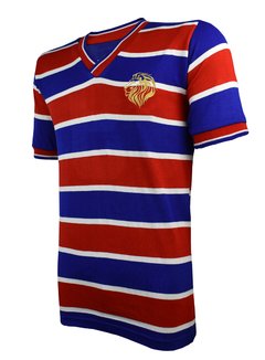 Camisa Vintage O Leão + Brinde Exclusivo na internet