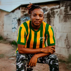 Camisa Retrô Brasil Listrada + Brinde Exclusivo na internet