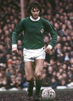 Imagem do Camisa Retrô Irlanda do Norte Anos 70 + Brinde Exclusivo