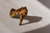 BEMBERG LEOPARDO - buy online