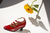 WERNICKE ROJO en internet