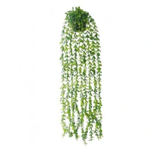 PLANTA COLGANTE (204082)