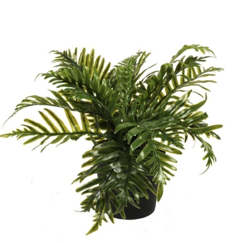 Planta Deco con Maceta 8.5X23cm (201170) - comprar online
