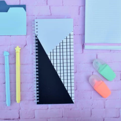 ANOTADOR LARGO ANILLADO en internet