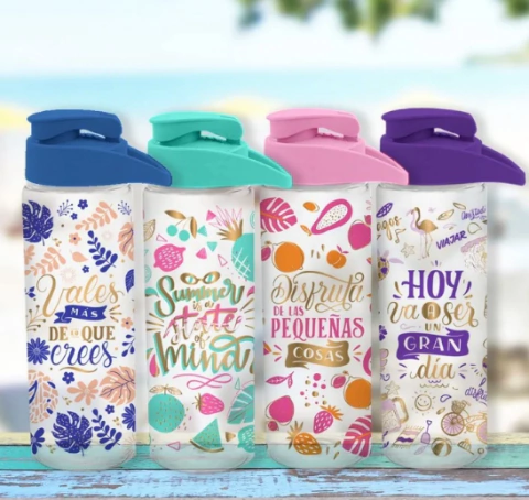 BOTELLA DAKAR DREAMS 750CC