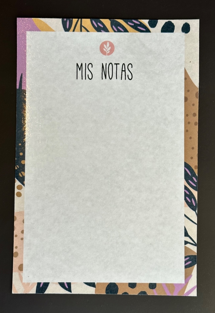 Pizarra imantada notas a5 + marcador