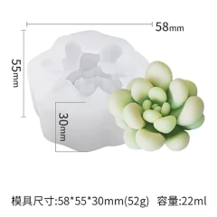 MOLDE SILICONA SUCULENTAS - comprar online