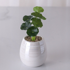 MATE O MACETA NACAR - comprar online