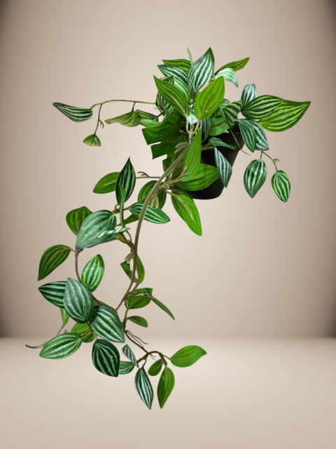 Planta colgante Deco (201163) - comprar online