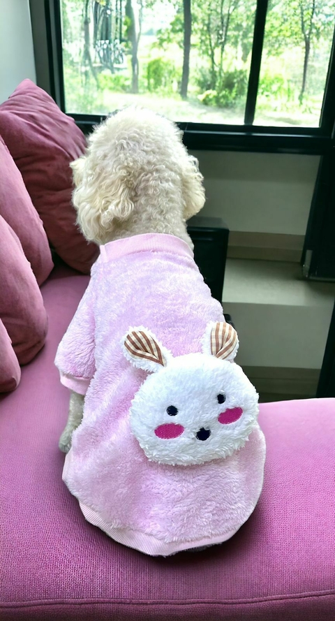 ROPITA PARA MASCOTAS PEQUEÑAS