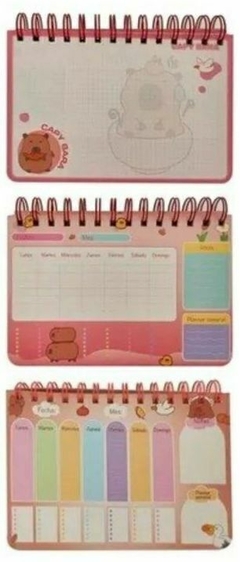 ORGANIZADOR SEMANAL CAPIBARA 15X21CM - comprar online